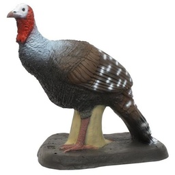 Turkey 3D SRT 