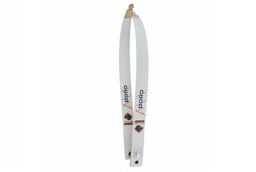 Branches Schulrecurve 