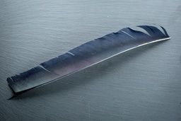 Natural Feather LW Full Length Solid