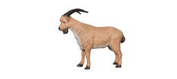 Billy Goat FB 