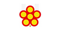 Blason 40cm 6-Spot Danage