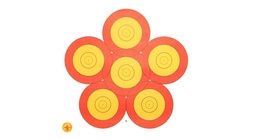 Blason 40cm 6-Spot Danage