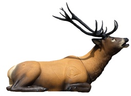 Cerf Rouge couché SRT