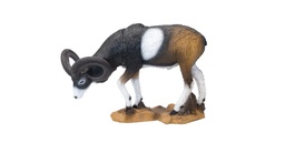 Mufflon grazing VSE SRT 