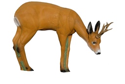 Cvevreuil VSE pâturage  SRT 