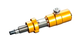 Le Bouton Gold Beiter