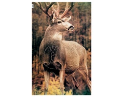  Animal Target Mule Deer Martin 