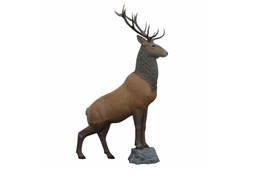 Cerf élaphe IBO Rinehart 