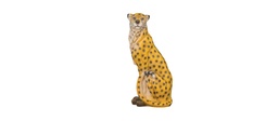 Cheetah, yellow, sitting FB