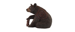 Honey Bear Sitting FB 