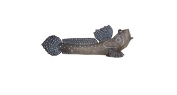 Mudskippers SRT 