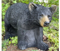 Ours au miel qui court FB 