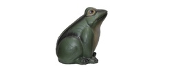 Grenouille FB 