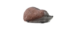 Hedgehog FB 