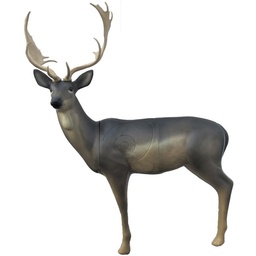 Fallow Deer Melas SRT 