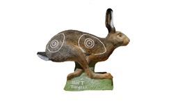 Rabbit Running  SRT